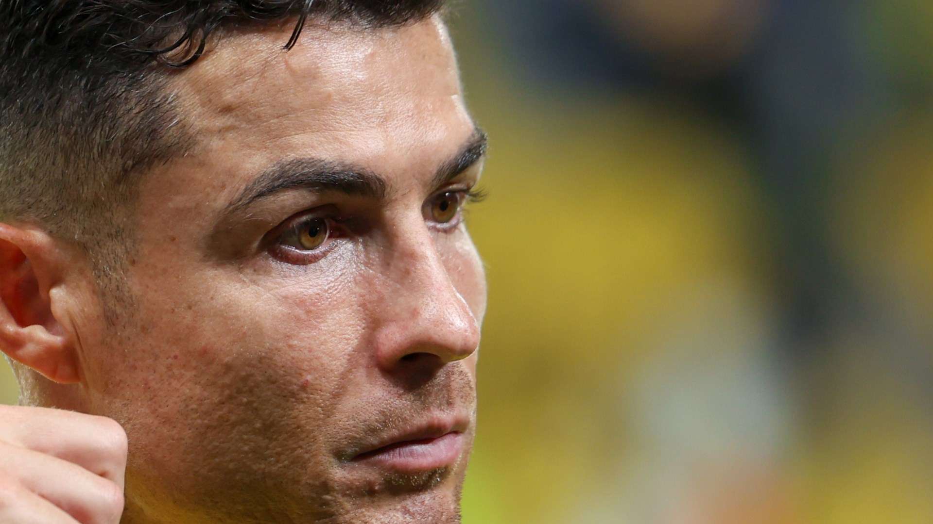 的资源和导 的资源和导